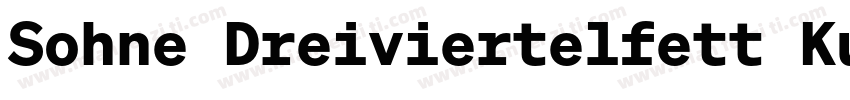 Sohne Dreiviertelfett Kursiv字体转换